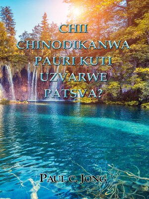 cover image of CHII CHINODIKANWA PAURI KUTI UZVARWE PATSVA? [Shona65]